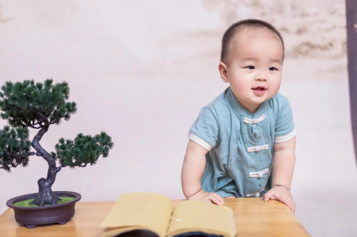 三沙可爱的企鹅宝宝